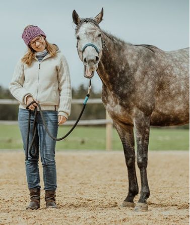 Coaching Weise - das Pferd als Co-Coach