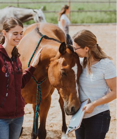 Coaching Weise - Zufriedenheit und Gefühlen erleben