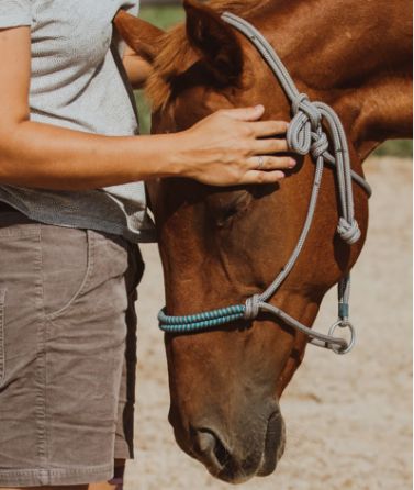 Coaching Weise - Vertrauen und Naehe