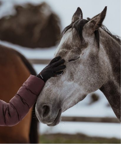 CoachingWeiseYvonnePferdegestuetztesCoachingGalerie01-min