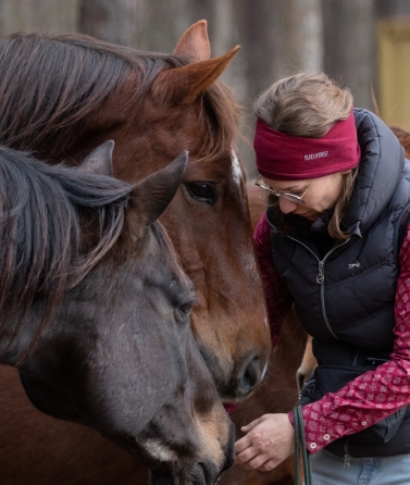 Yvonne_Weise_Parelli_Natural_Horsemanship_Galerie11