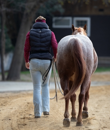 Yvonne_Weise_Parelli_Natural_Horsemanship_Galerie12