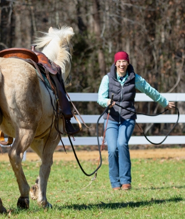 Yvonne_Weise_Parelli_Natural_Horsemanship_Galerie14