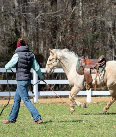 Yvonne_Weise_Parelli_Natural_Horsemanship_Galerie15