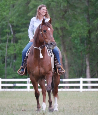 Yvonne_Weise_Parelli_Natural_Horsemanship_Galerie5