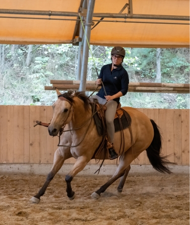 Yvonne_Weise_Parelli_Natural_Horsemanship_Galerie7