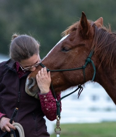 Yvonne_Weise_Parelli_Natural_Horsemanship_Galerie8
