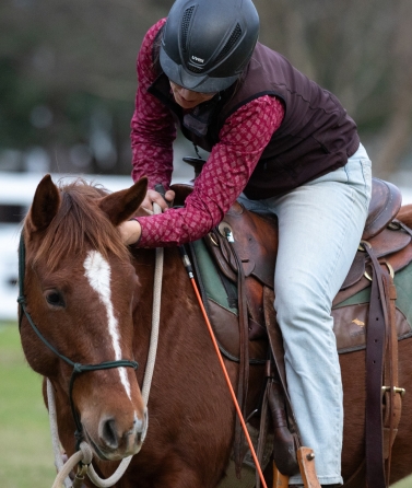 Yvonne_Weise_Parelli_Natural_Horsemanship_Galerie9